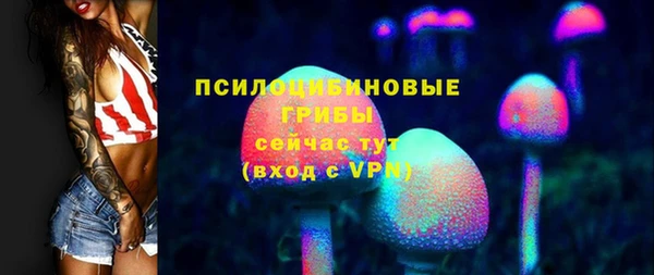 PSILOCYBIN Нязепетровск