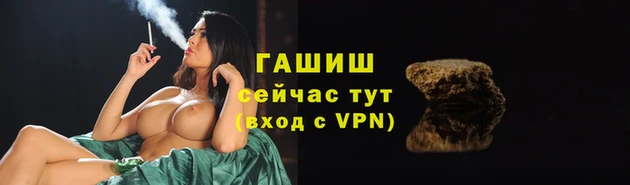 PSILOCYBIN Нязепетровск