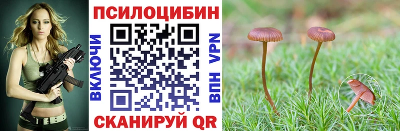 darknet клад  Короча  Галлюциногенные грибы мухоморы 